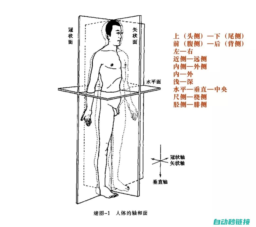 全方位解析跑马灯程序在西门子中的应用 (全方位解析跑步视频)