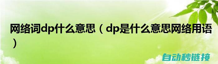 DP报文在IAI机器人中的应用及其重要性 (dldp报文)