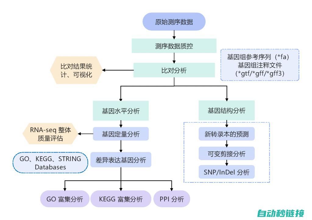 技术指南与步骤的区别